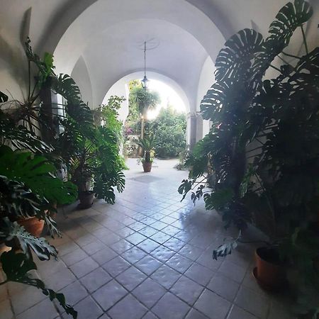 ホテル La Casa Delle Camelie メタ エクステリア 写真