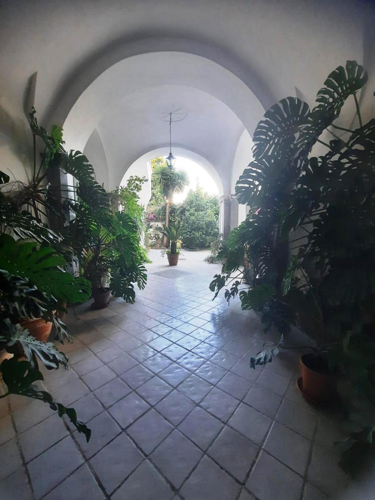 ホテル La Casa Delle Camelie メタ エクステリア 写真